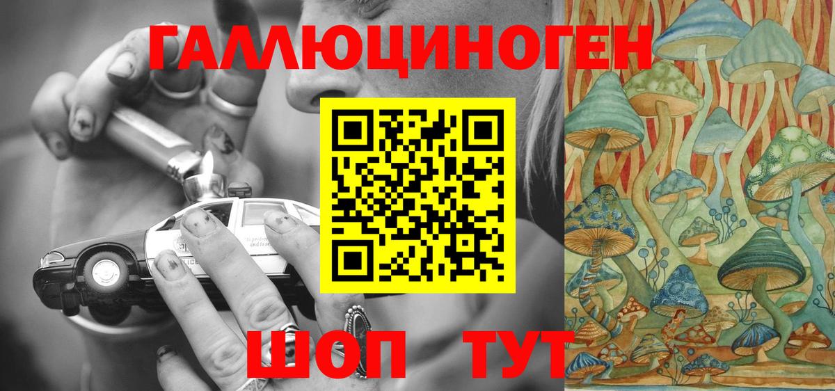 Псилоцибиновые грибы мицелий Алушта